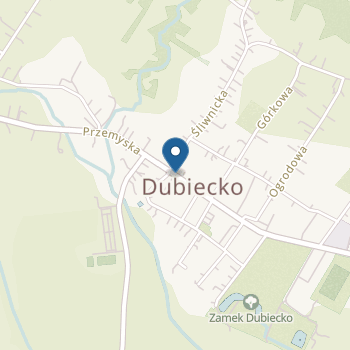 Samorządowe Przedszkole w Dubiecku na mapie