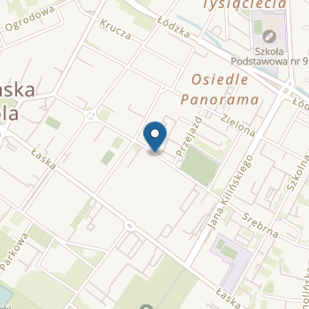 Publiczne Przedszkole nr 4 "Zaczarowana Kraina" w Zduńskiej Woli na mapie