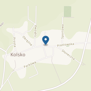 Przedszkole Publiczne w Kolsku na mapie
