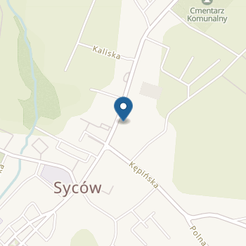 Publiczne Przedszkole nr 1 im. Koszałka Opałka w Sycowie na mapie