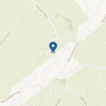 Przedszkole nr 8 w Cieszynie na mapie