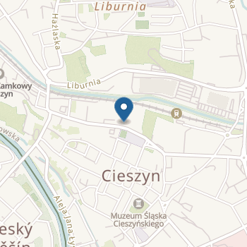 Przedszkole nr 1 w Cieszynie na mapie