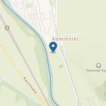 Przedszkole nr 17 w Cieszynie na mapie