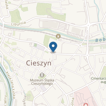 Przedszkole nr 20 w Cieszynie na mapie