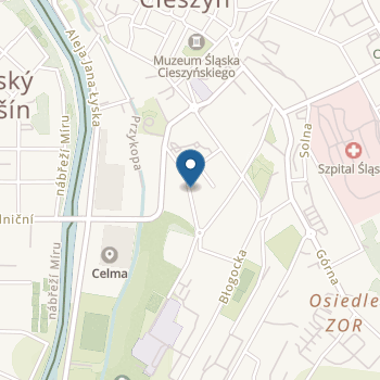 Przedszkole nr 4 im. Marii Konopnickiej w Cieszynie na mapie