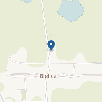Publiczne Przedszkole w Bielicach na mapie