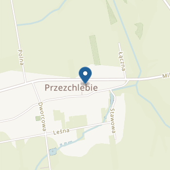 Przedszkole z Oddziałami Specjalnymi w Przezchlebiu na mapie
