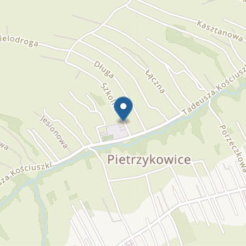 Przedszkole Publiczne nr 1 w Pietrzykowicach na mapie