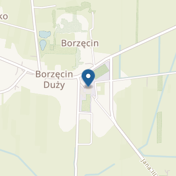 Przedszkole w Borzęcinie Dużym na mapie