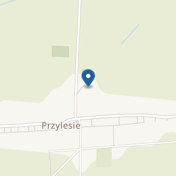 Publiczne Przedszkole w Przylesiu na mapie