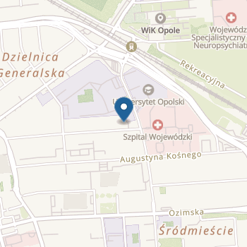 Niepubliczne Przedszkole Artystyczne i Językowe Przed-Szkółka w Opolu na mapie