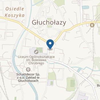 Przedszkole Niepubliczne "Puchatek" na mapie