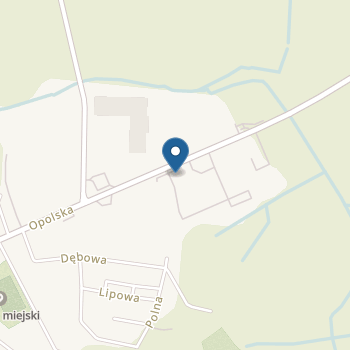 Przedszkole Niepubliczne Artystyczno - Językowe "Dinolandia" w Niemodlinie na mapie