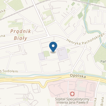 Samorządowe Przedszkole nr 29 w Krakowie na mapie