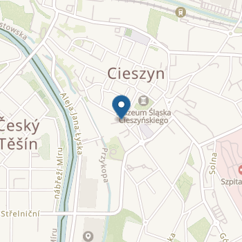 Katolickie Przedszkole im. Dzieciątka Jezus w Cieszynie na mapie