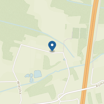 Niepubliczne Przedszkole w Kamieńskich Młynach na mapie