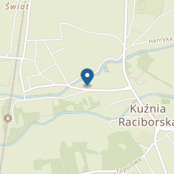 Przedszkole nr 1 w Kuźni Raciborskiej z Oddziałem Zamiejscowym w Turzu na mapie