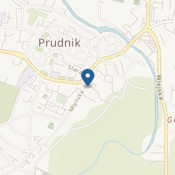 Publiczne Przedszkole nr 5 Specjalne w Prudniku na mapie