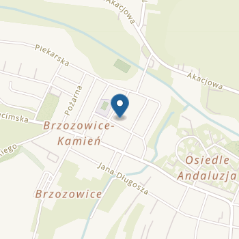Miejskie Przedszkole nr 11 w Piekarach Śląskich na mapie