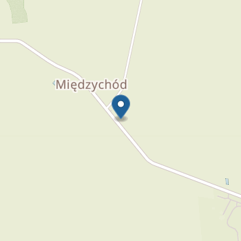 Punkt Przedszkolny w Międzychodzie na mapie