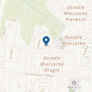 Miejskie Przedszkole nr 2 w Piekarach Śląskich na mapie