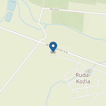 Przedszkole "Leśne Ludki" w Mieścisku na mapie