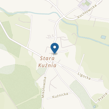 Miejskie Przedszkole nr 36 im. Juliusza Słowackiego w Rudzie Ślaskiej na mapie