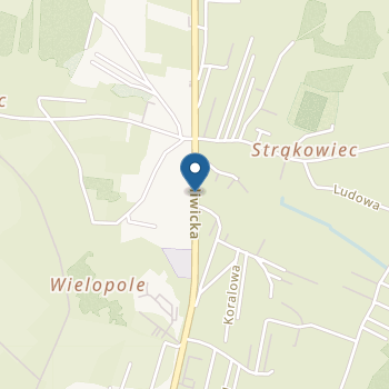 Przedszkole nr 16 w Zespole Szkolno-Przedszkolnym z Oddziałami Integracyjnymi nr 1 w Rybniku na mapie