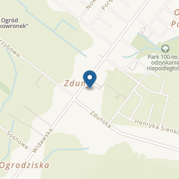 Publiczne Przedszkole nr 9 w Zduńskiej Woli na mapie