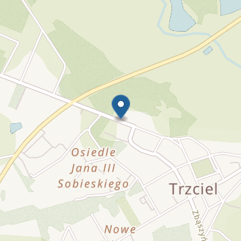 Zespół Edukacyjny w Trzcielu Przedszkole Bajkowe na mapie