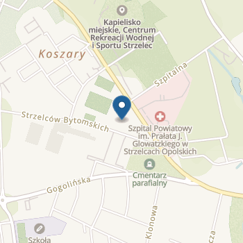 Przedszkole Publiczne nr 5 w Strzelcach Opolskich na mapie