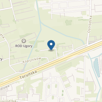 Niepubliczne Przedszkole "Złota Rybka" na mapie