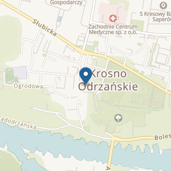 Przedszkole Nr1 im. Przyjaciół Stumilowego Lasu na mapie