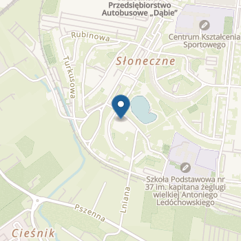 Niepubliczne Przedszkole "Zielona Wyspa" na mapie