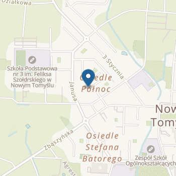 Przedszkole nr 4 "Bolka i Lolka" w Nowym Tomyslu na mapie
