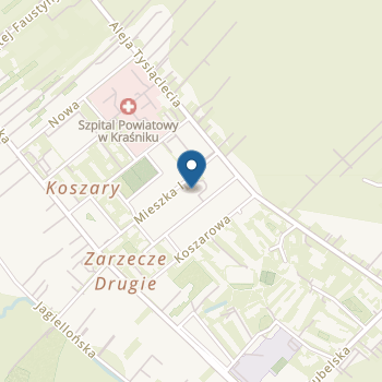 Niepubliczne Przedszkole Gwiazdeczka na mapie