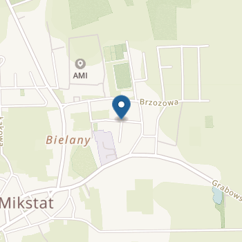 Publiczne Przedszkole w Mikstacie na mapie