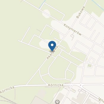 Niepubliczne Przedszkole Artystyczno-Teatralne Zaradni Odważni Oryginalni na mapie