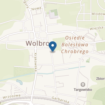 Przedszkole Publiczne nr 1 w Wolbromiu na mapie