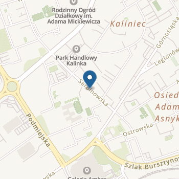 Niepubliczne Przedszkole "Jacka i Agatki" w Kaliszu na mapie