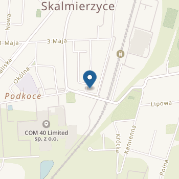 Publiczne Przedszkole nr 2 "Pod Kasztanami" w Nowych Skalmierzycach na mapie
