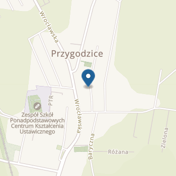 Publiczne Przedszkole im. Jasia i Małgosi w Przygodzicach na mapie