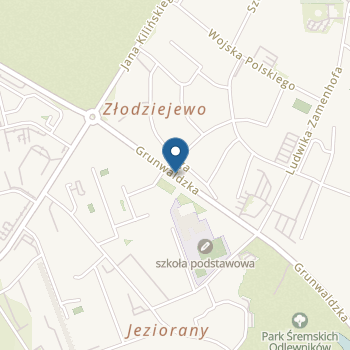 Przedszkole "Pod Wierzbami" w Śremie na mapie