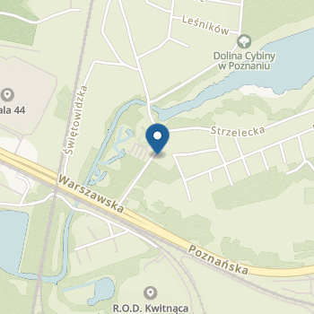 Niepubliczne Przedszkole w Zielińcu"Wyspa Odkrywców" na mapie