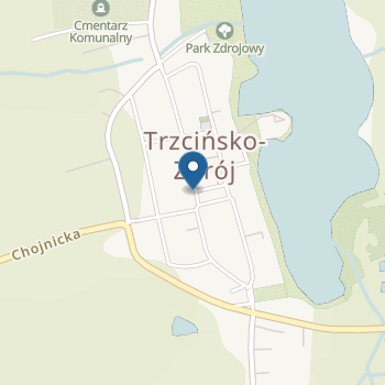 Przedszkole Miejskie w Trzcińsku-Zdroju im. Leśne Skrzaty na mapie
