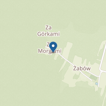 Przedszkole Publiczne w Żabowie na mapie