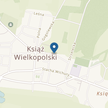 Przedszkole "Bajkowy Świat" w Książu Wielkopolskim na mapie