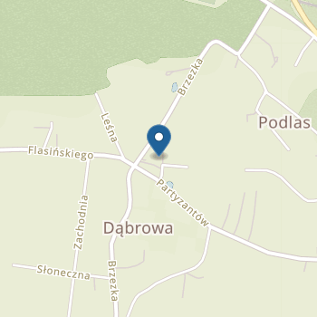 Przedszkole Samorządowe w Dąbrowie na mapie