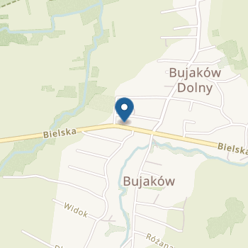 Niepubliczne Przedszkole "Im. Kubusia Puchatka" w Bujakowie na mapie