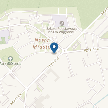 Przedszkole nr 1 im. Jana Brzechwy w Wągrowcu na mapie